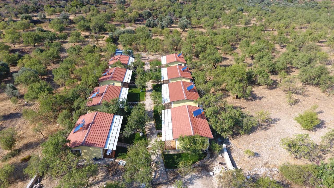 Selerdoga Evleri Hotel Palamut Buku Exterior foto
