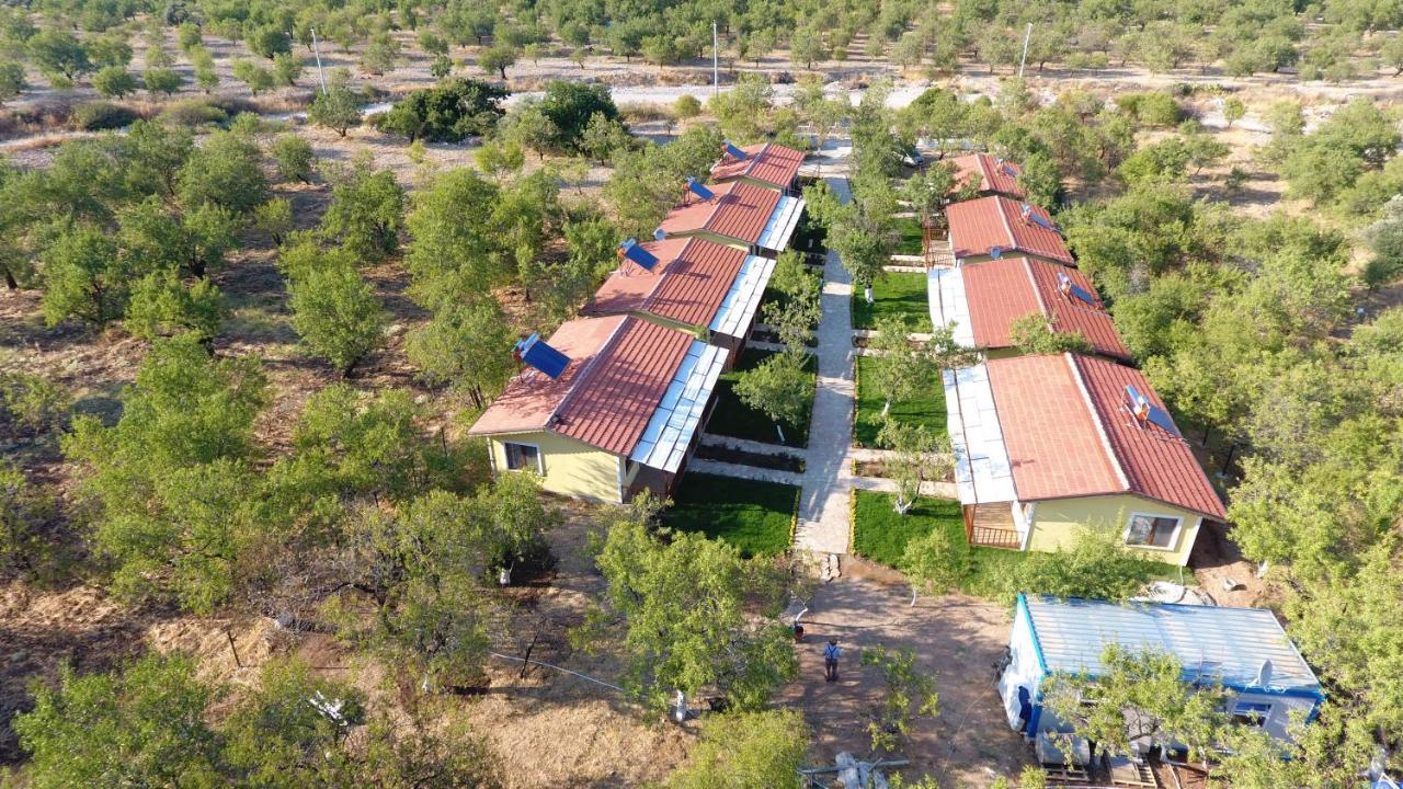 Selerdoga Evleri Hotel Palamut Buku Exterior foto